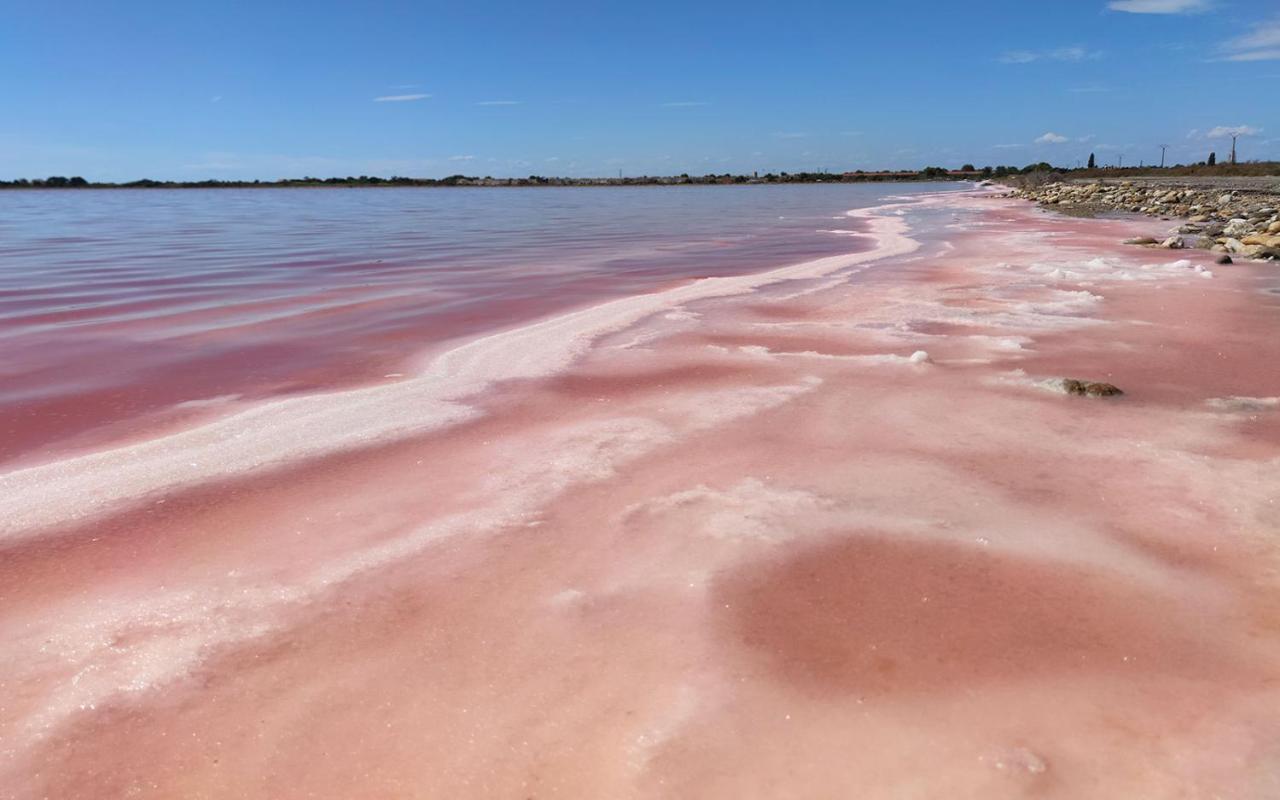 Апартаменти Le Flamant Rose - Cosykaz Ег-Морт Екстер'єр фото